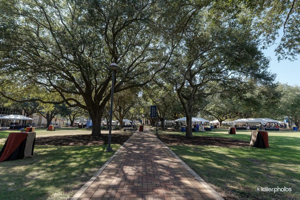 Rouge et Blanc Wine and Food Festival in Lake Charles Louisiana, photo 9