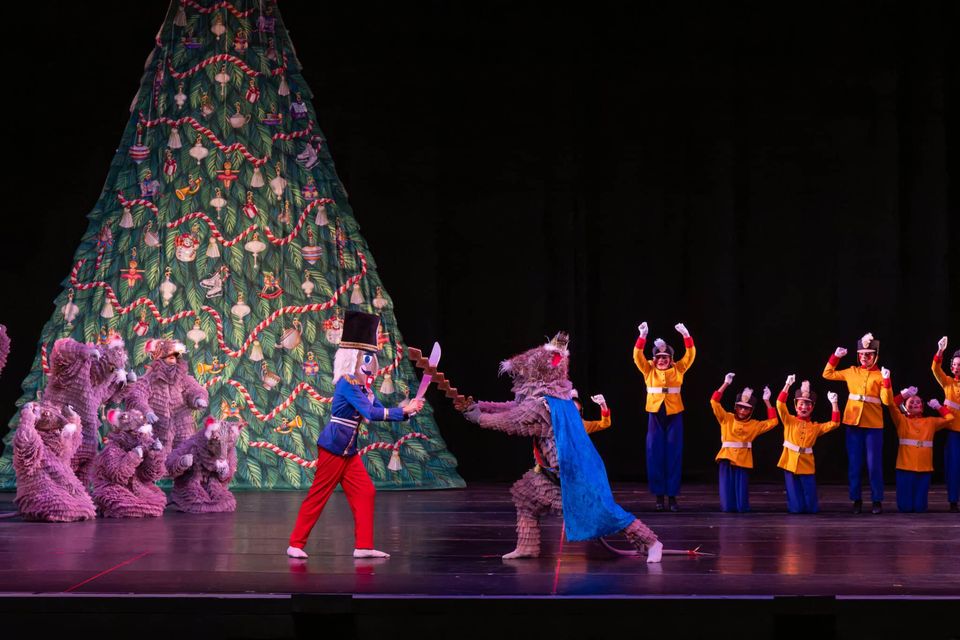 Holiday Magic on Stage: Lake Area Ballet Theatre’s The Nutcracker in Lake Charles, photo 9