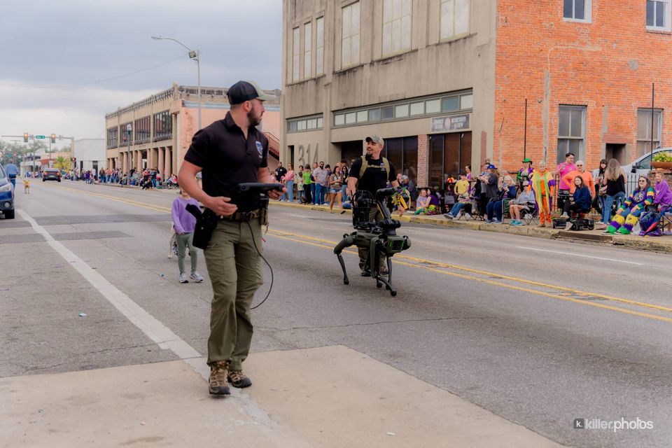 Paws, Prancing, and Costumes: The 2026 Krewe of Barkus Parade, photo 2