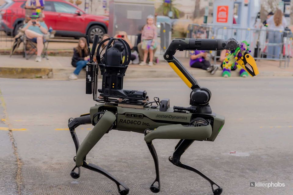 Paws, Prancing, and Costumes: The 2026 Krewe of Barkus Parade, photo 3