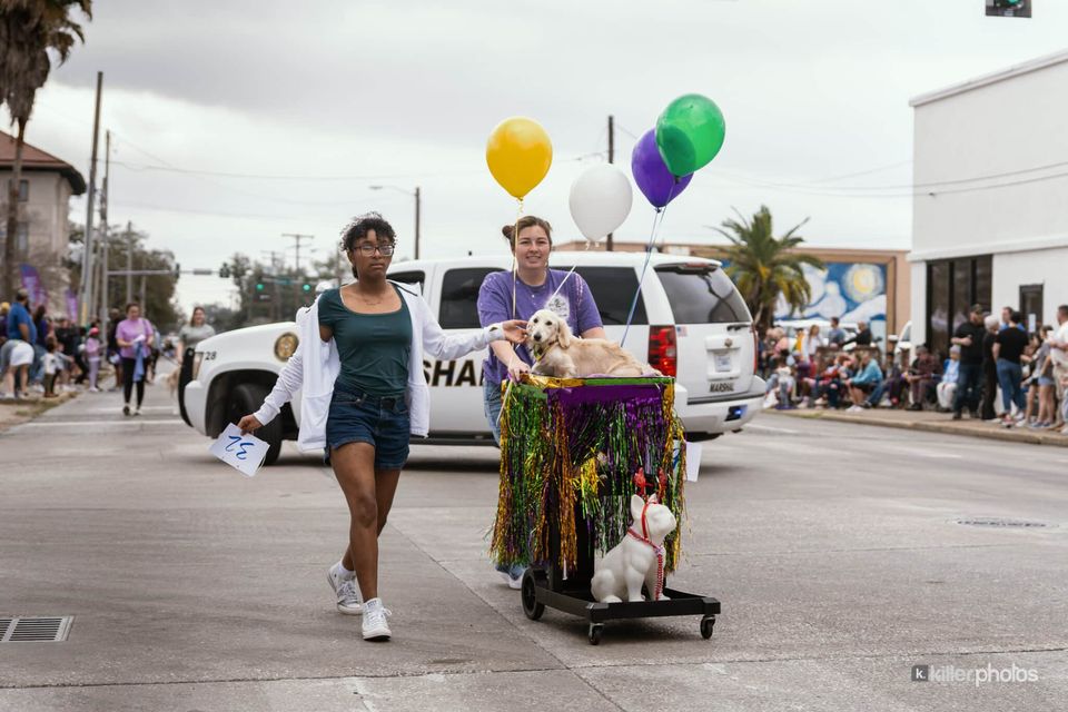 Paws, Prancing, and Costumes: The 2026 Krewe of Barkus Parade, photo 7