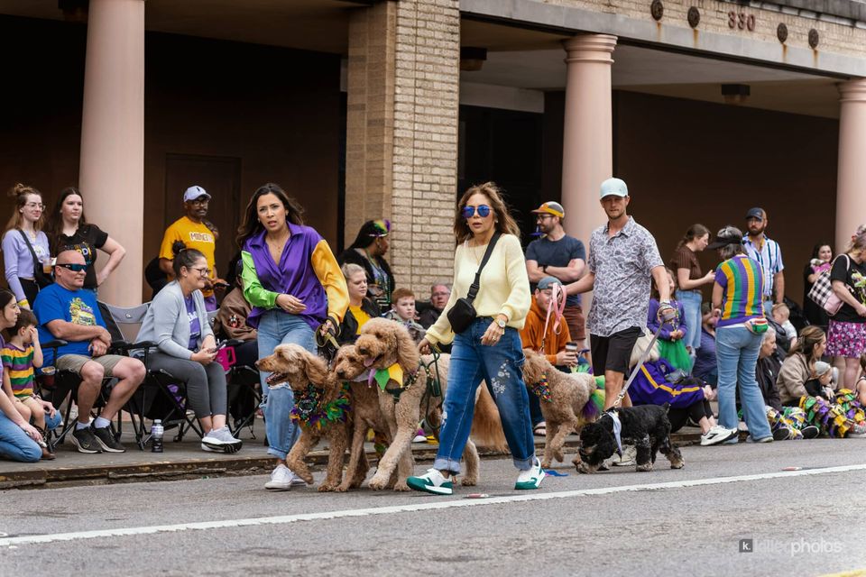 Paws, Prancing, and Costumes: The 2026 Krewe of Barkus Parade, photo 11