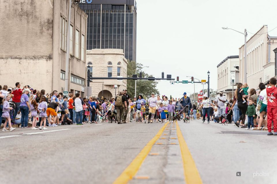 Paws, Prancing, and Costumes: The 2026 Krewe of Barkus Parade, photo 15