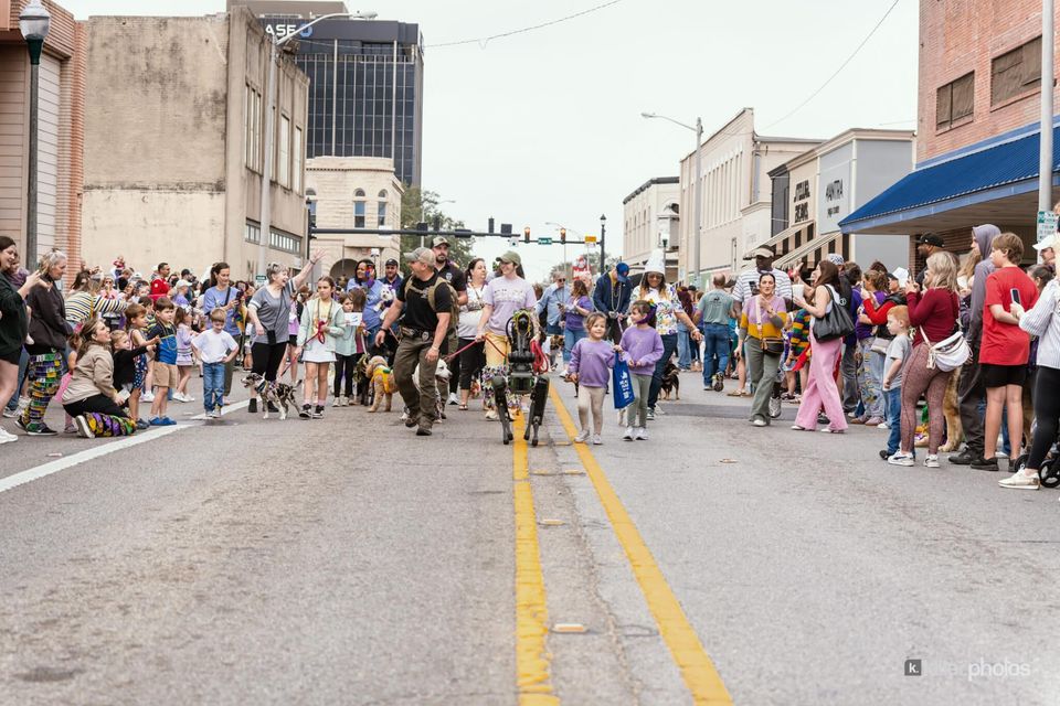 Paws, Prancing, and Costumes: The 2026 Krewe of Barkus Parade, photo 16