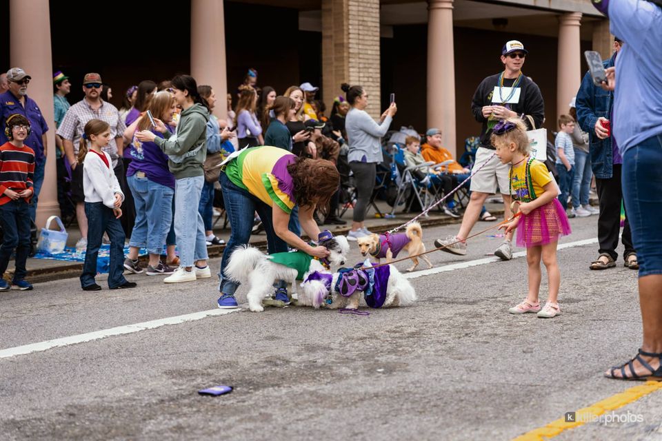 Paws, Prancing, and Costumes: The 2026 Krewe of Barkus Parade, photo 17