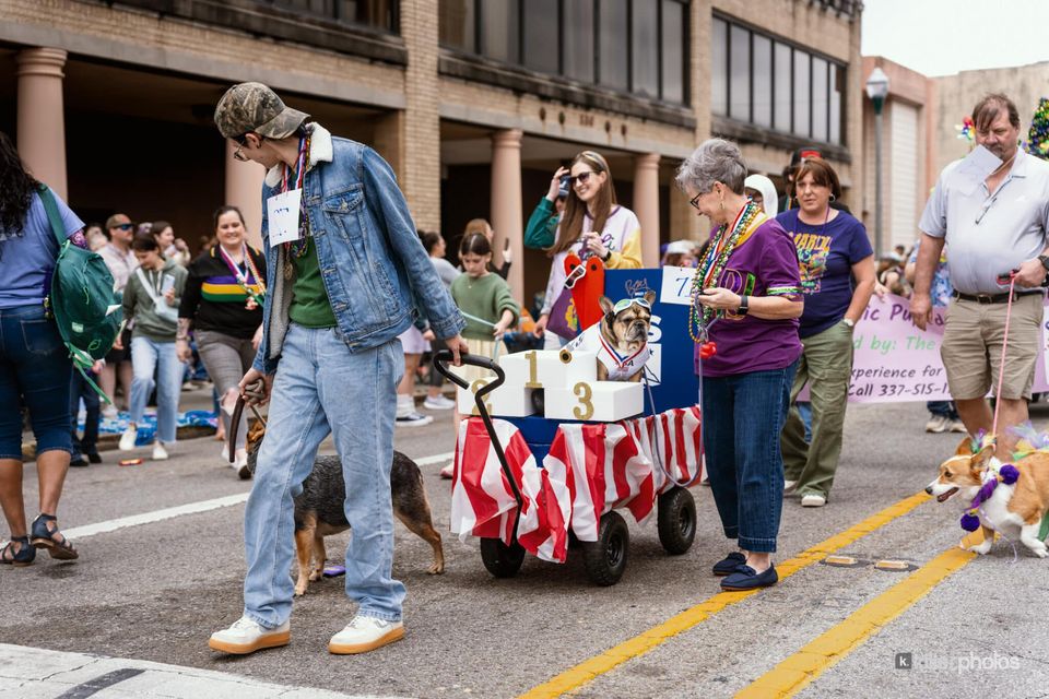 Paws, Prancing, and Costumes: The 2026 Krewe of Barkus Parade, photo 19