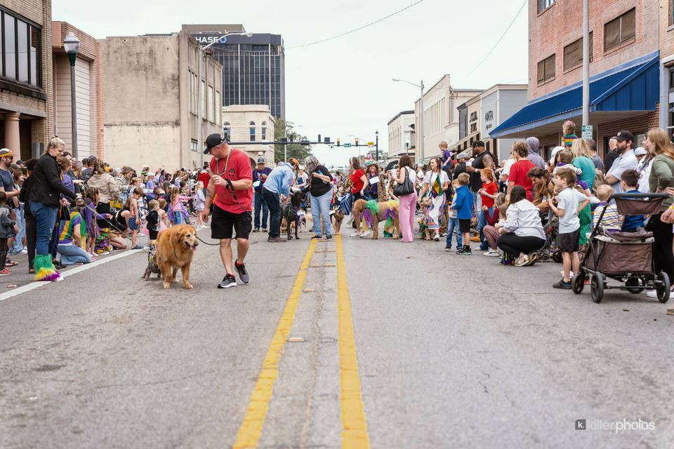 Paws, Prancing, and Costumes: The 2026 Krewe of Barkus Parade, photo 20