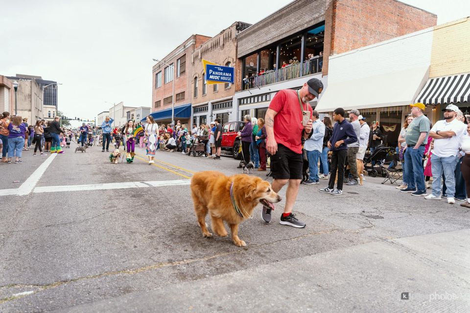 Paws, Prancing, and Costumes: The 2026 Krewe of Barkus Parade, photo 21