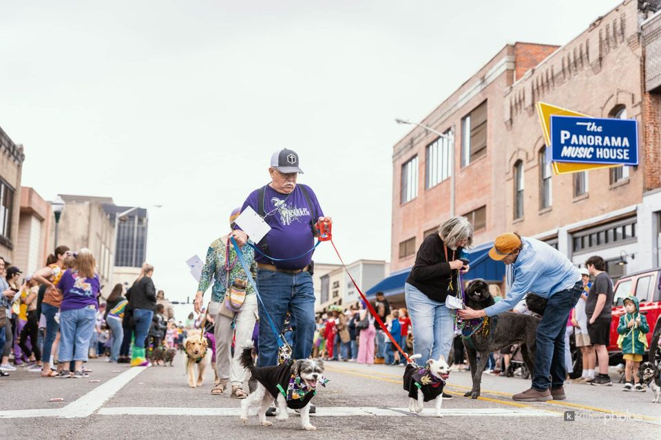 Paws, Prancing, and Costumes: The 2026 Krewe of Barkus Parade, photo 23