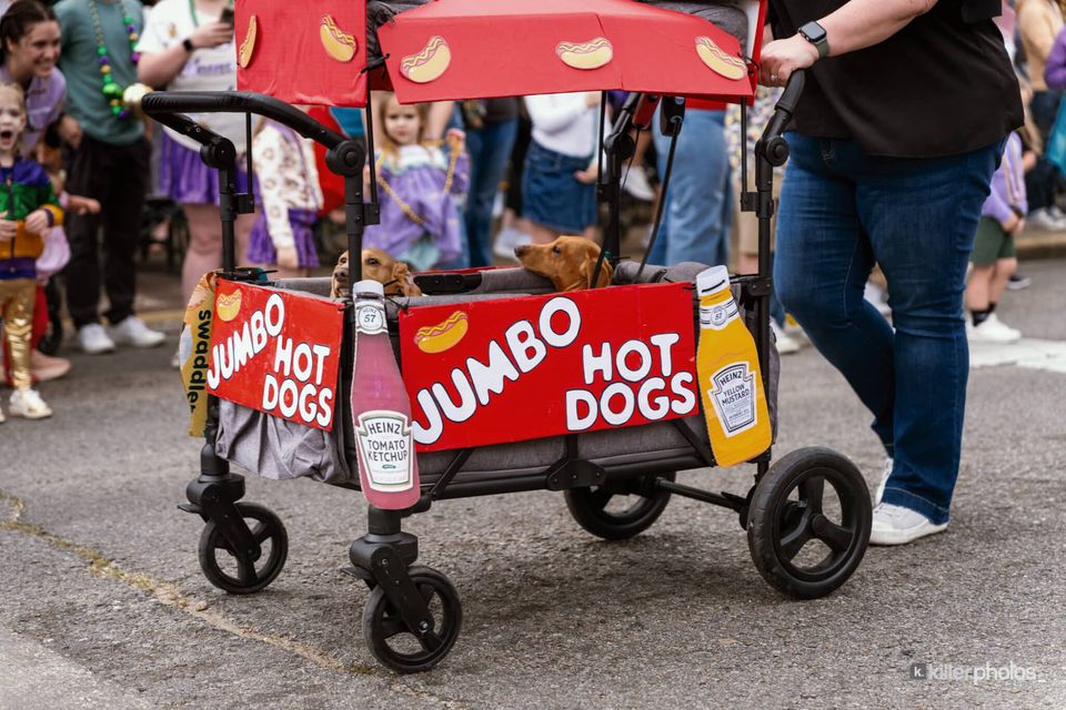 Paws, Prancing, and Costumes: The 2026 Krewe of Barkus Parade, photo 26