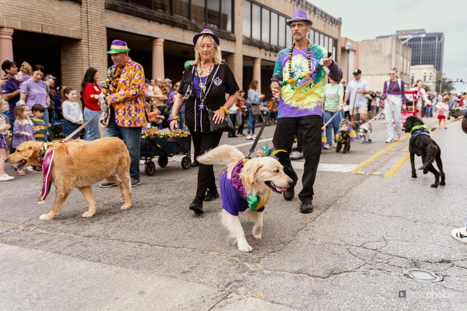 Paws, Prancing, and Costumes: The 2026 Krewe of Barkus Parade, photo 27