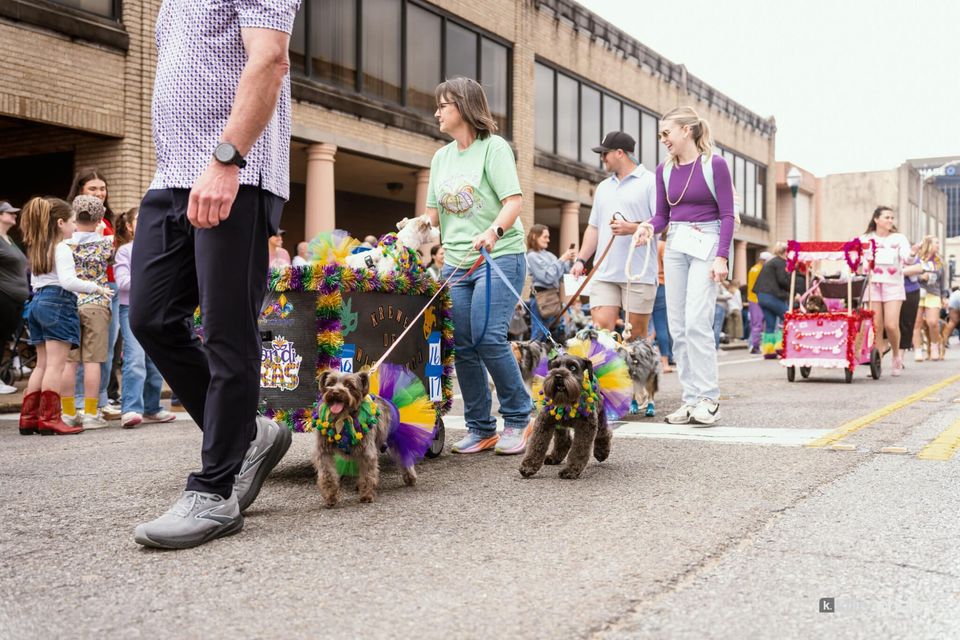 Paws, Prancing, and Costumes: The 2026 Krewe of Barkus Parade, photo 28