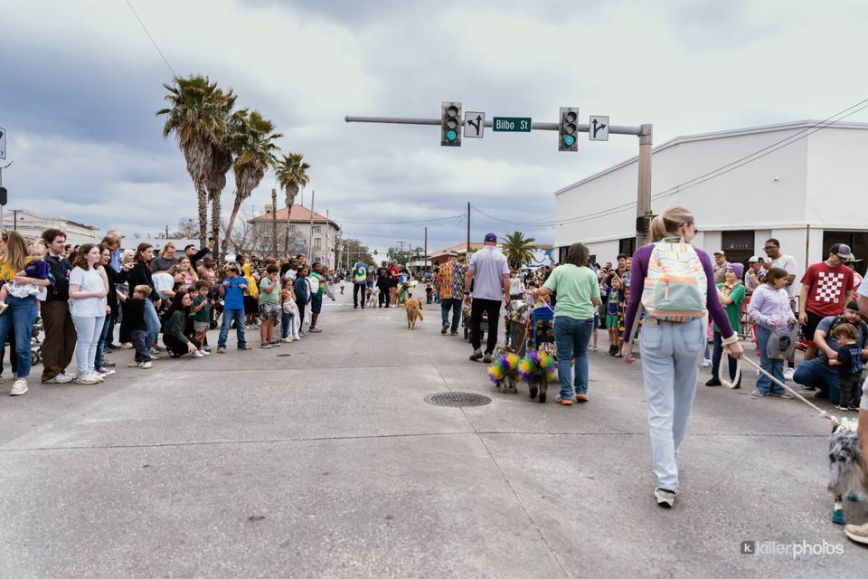 Paws, Prancing, and Costumes: The 2026 Krewe of Barkus Parade, photo 30