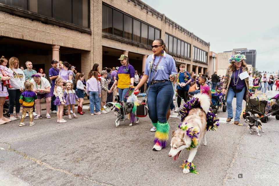 Paws, Prancing, and Costumes: The 2026 Krewe of Barkus Parade, photo 31