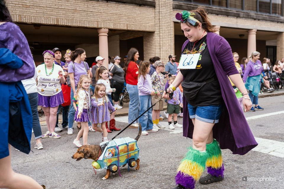Paws, Prancing, and Costumes: The 2026 Krewe of Barkus Parade, photo 34