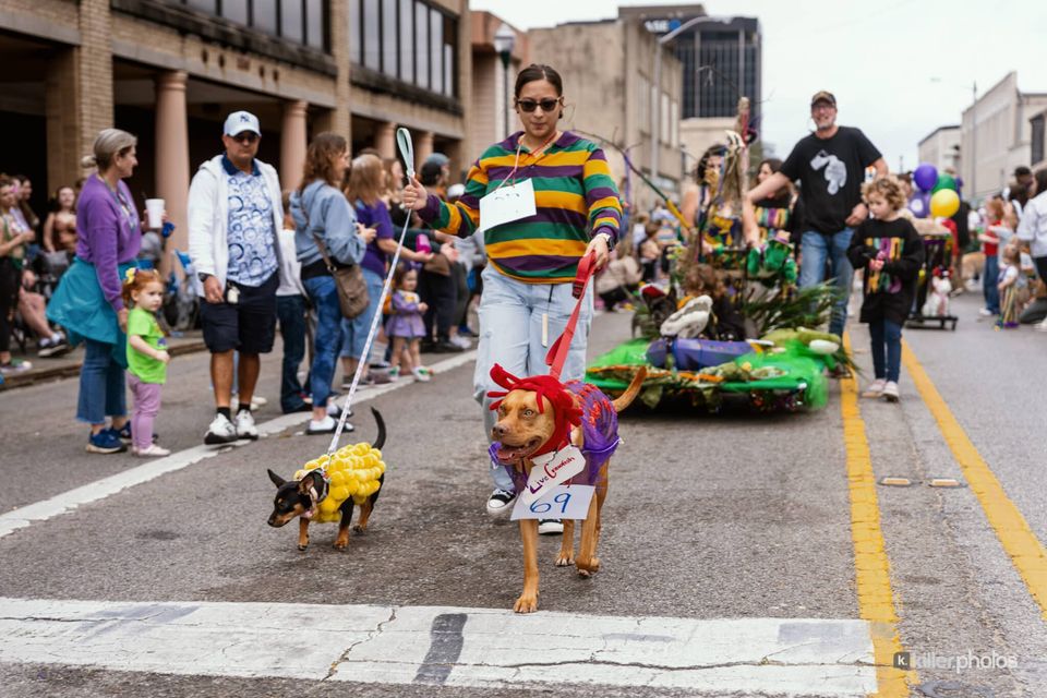 Paws, Prancing, and Costumes: The 2026 Krewe of Barkus Parade, photo 36