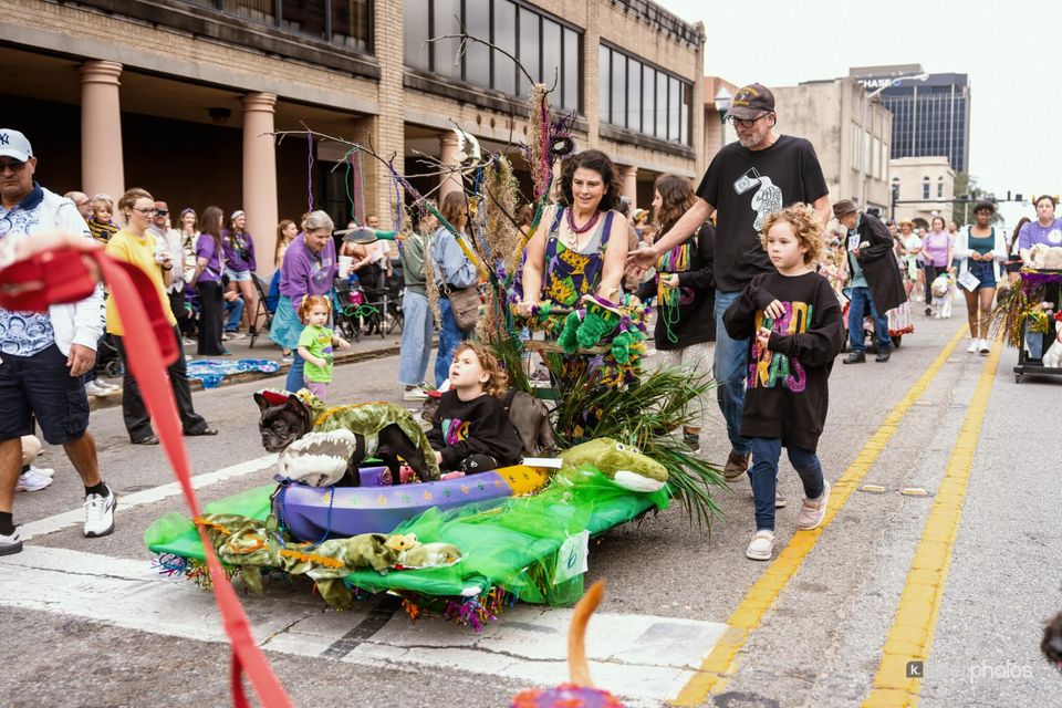 Paws, Prancing, and Costumes: The 2026 Krewe of Barkus Parade, photo 37