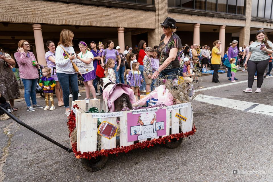 Paws, Prancing, and Costumes: The 2026 Krewe of Barkus Parade, photo 38