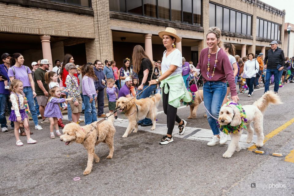 Paws, Prancing, and Costumes: The 2026 Krewe of Barkus Parade, photo 39
